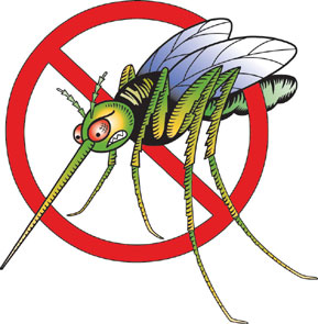 Mosquito menace - Mosquitoes are very dangerous insects as they carry risk of malaria,filaria,dengue & a lot of other fatal disease transmission.