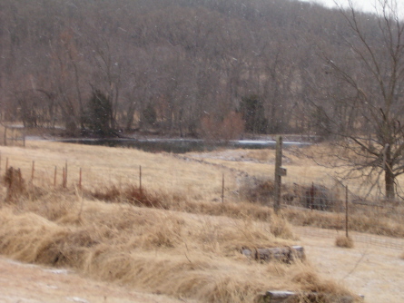 another snow pic. - This is one taken looking towards the pond, I tried to get one of the snow coming down but it may be hard to see.