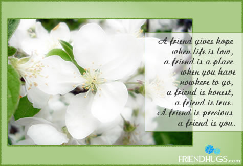 friendship photo - friendship, friends
