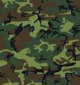 camouflage - lots of stuff that is camouflaged