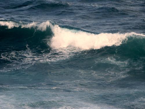 Sea Wave - I snapped this shot one morning last month, while talking a walk along the seashore. The sea was rough and it was a cold windy day, but yet I enjoyed seeing the waves roling towards the blue sea. Looking at the photo, one can hardly measure the size of the wave, but believe me it was about 20 feet tall, strong and yet looking soft. I love the blueish tones int he sea and the white curved tips of the wave. This photo can be used as a model for painting.  Thank you for viewing