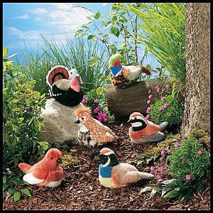 Birds series - love series