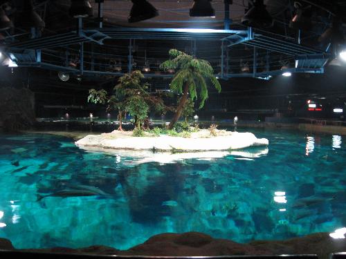 beautifulsenery,hangkang - ocean park of hangkang