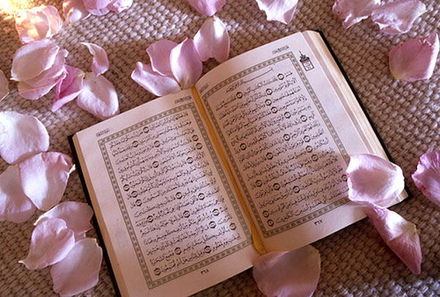 The Holy Qoraun  - the book of god