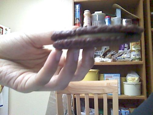 homemade oreo cookie - delicious homemade oreo cookie made by Katie