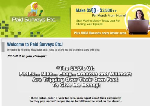 Online Paid Survey - People can earn online by doing simple online survey.Survey sites are available in the web and every one can join it.Companies pay for peoples opinion.While some survey sites are region specific and some are available Globally.It needs no previous experience.