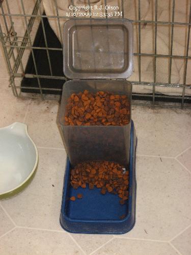 Busters Food Dish - He now lifts the lid when he needs water.