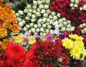 flowers - colorfull and i think smile fresha nd nice different color