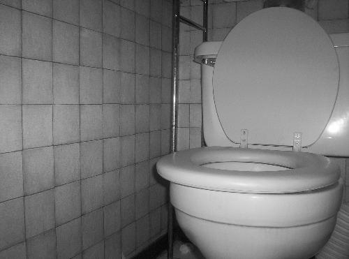 toilet - Black and white toilet.