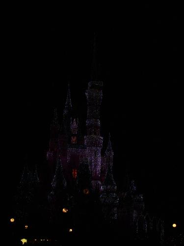 disney castle - the castle at night in magic kingdom