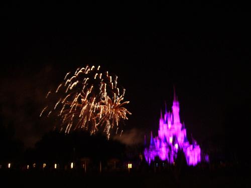 disney world - the fireworks at magic kingdom in disney world