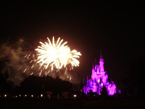 disney world - the fireworks at magic kingdom in disney world