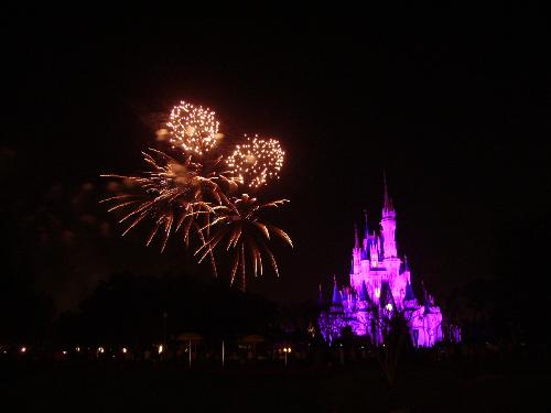 disney world - the fireworks at magic kingdom in disney world