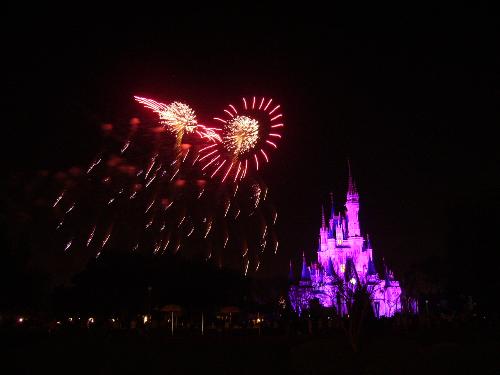 disney world - the fireworks at magic kingdom in disney world