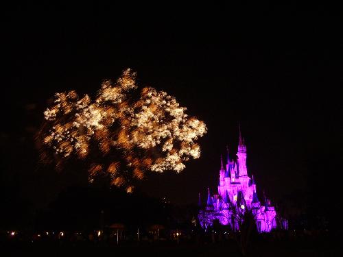 disney world - the fireworks at magic kingdom in disney world