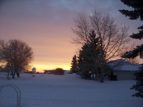 Sunrise From My Front Porch - Taken at 7:48am one winter morning. You can just see the orange ball of the sun in the trees near the horizon line..........