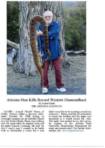 Huge snake killed in Arizona. - I don't know what I would have done if I had run up on this monster. But it sure looks like it is a good amount of years old.