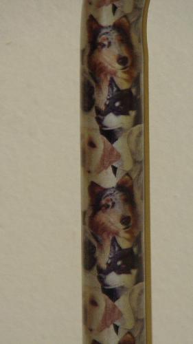 Cane - A picture of my cane close up. You can my design of diffeent dogs.