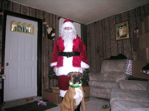 Santa and Buddy - Last christams with my boxer Buddy