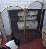 my gas fireplace - Gus is looking at my gas fireplace, that doesn't keep us very warm!