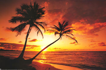 Paradise! - gjj jh j t xfjh[xfj[ Paradise! - gjj jh j t xfjh[xfj[