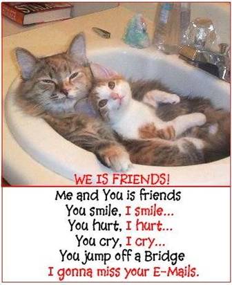 Cats - We Is Friends - I received this cute greeting from a friend recently.
