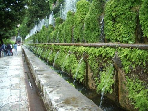 Tivoli Gardens - This is a picture of the 100 fountains in Villa D'Este, also known as the Tivoli Gardens in Italy not too far away from Rome. There is no way that I could think of to get all 100, so I got as many as I could with this shot. They are all identical and I'm in the middle area of them...they just keep going and going just like the Energizer bunny!