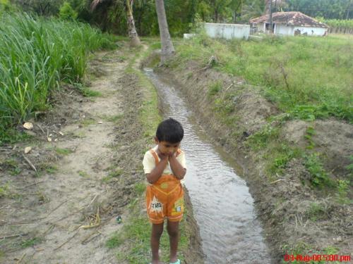 cute babys  - my dear cute son in law  friends did you like these photos