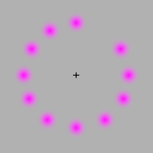 optical illusion - focus on the dot at the center and be surprised at what's gonna happen. optical illusions are really cool... right?