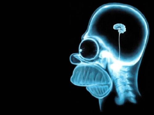 brain - the simpsons brain