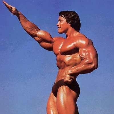 ARNOLD..isn't he beautiful? - Wow..what a body Arnold had..magnifique
