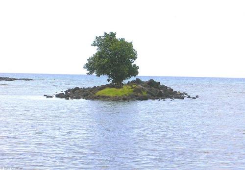 The south of the island - Mauritius is a beautiful island with lots of interesting places and beautiful beaches. Here is one of the wonderful places in Mauritius. It is one of our beaches.