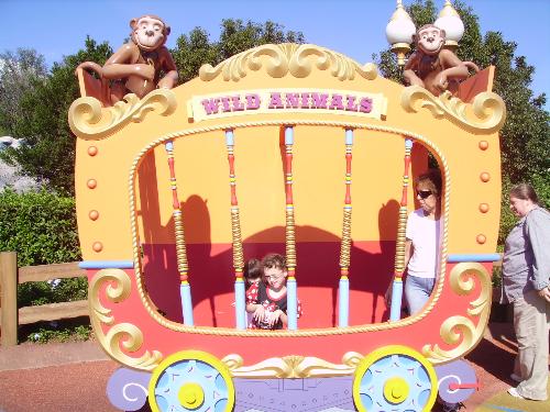 wild animal - my wild animal at disney world