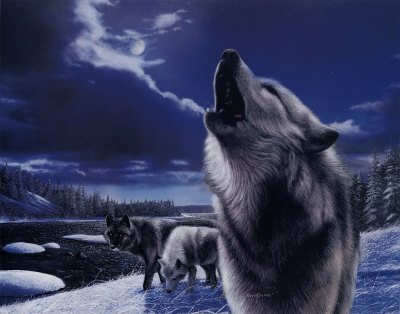 Wolf painting - the wolf is always painted as a bad animal,may be because of its fierce look ,terrifying howling & aggressive behavior.