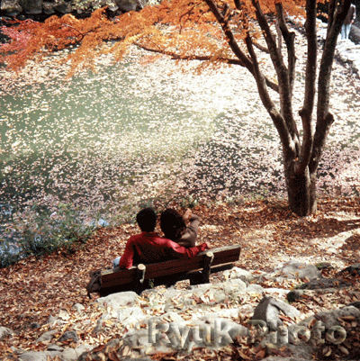 couple dating - romantic couple dating beside the river