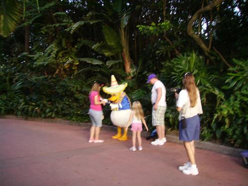 donald duck - donald duck in mexico at epcot