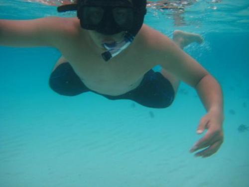 snorkelling - snorkelling in redang island