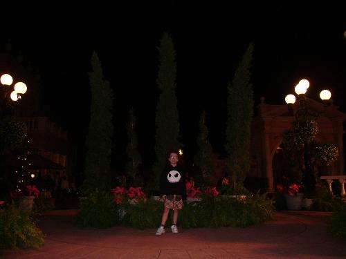 disney epcot - disney world in epcot italy