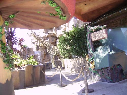 disney world - visiting downtown disney
