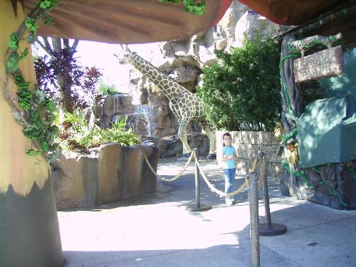 disney world - visiting downtown disney