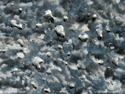 Ice Crystals - An awesome photo I feel of some ice formed on my screen door in Minnesota.