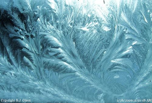 Floral Ice Crystals - Moore ice crystals from my windows here in Minnesota.