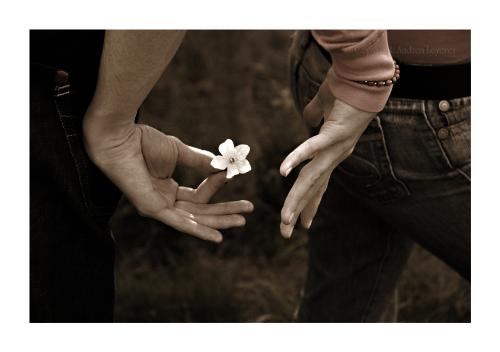 Romance - Little flower for you my darling