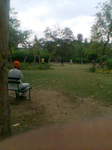 Morning exercise - People doing morning breathing exercise and playing in the park. I go this this park every morning.