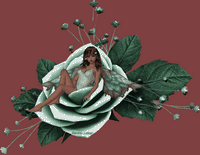 fairy in white rose - fairies