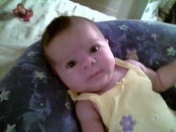 My baby - This is her.  She'll be 3 months old on the 27th.