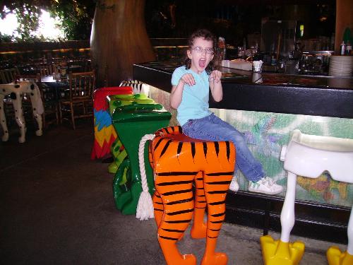 rainforest cafe - the rainforest cafe at downtown disney world