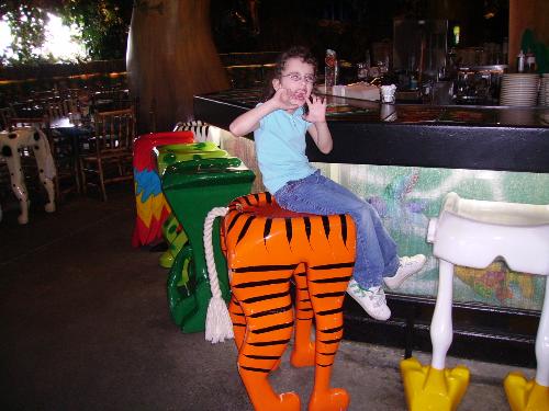 rainforest cafe - the rainforest cafe at downtown disney world