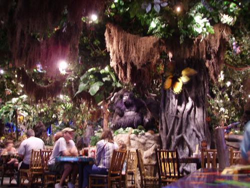 disney world - the rainforest cafe at downtown disney world