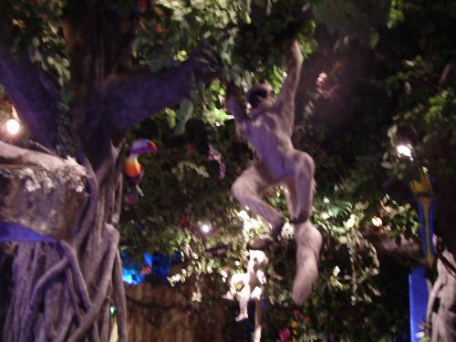 disney world - the rainforest cafe at downtown disney world